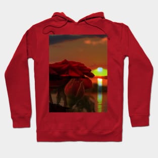 Romantic landscape with red roses over Danube sunset in water reflection Hoodie